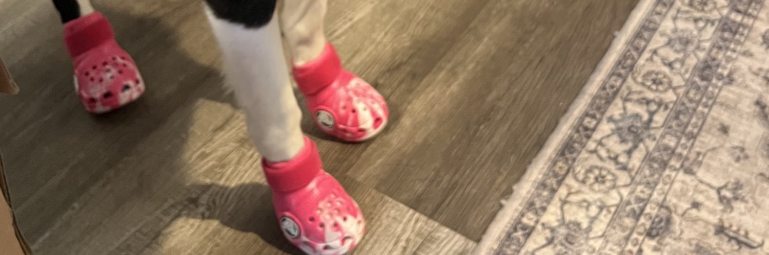 bplaisanceee's profile banner image