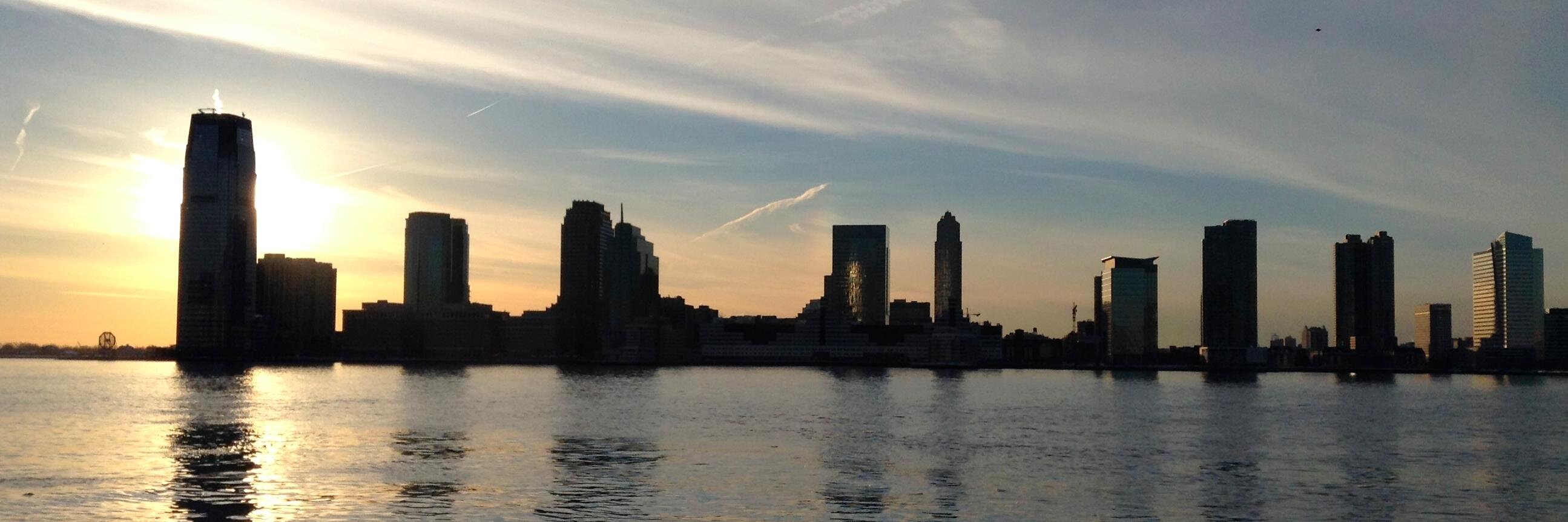 Allison Goldstein banner