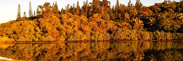 MayCreugnet Profile Banner