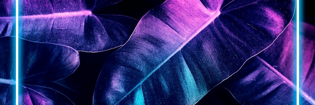 DebashisaT's profile banner image