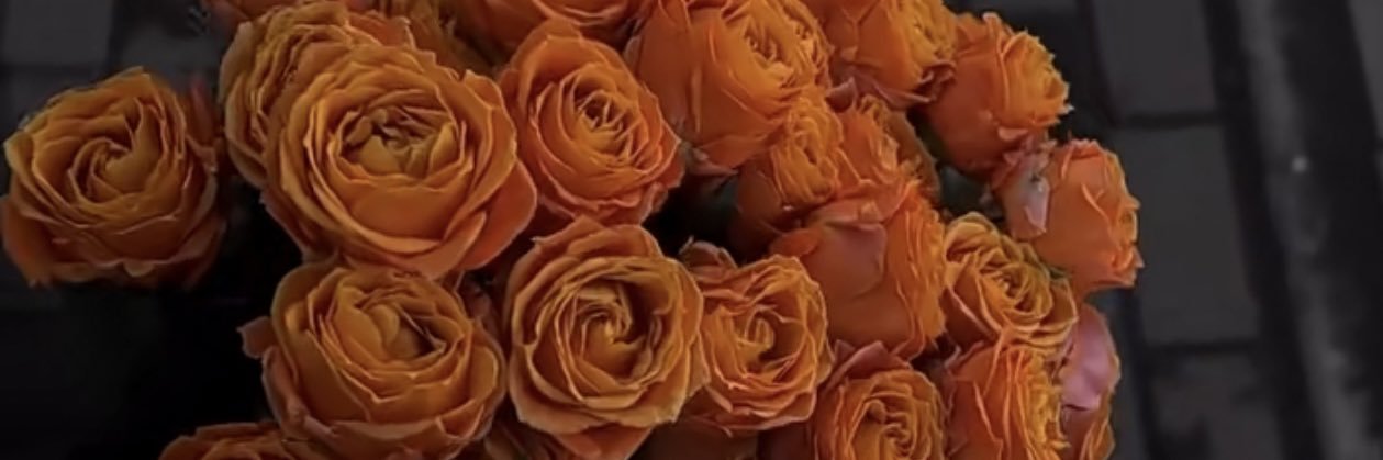 queen_280's profile banner image