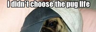 TailsOfOdin's profile banner image