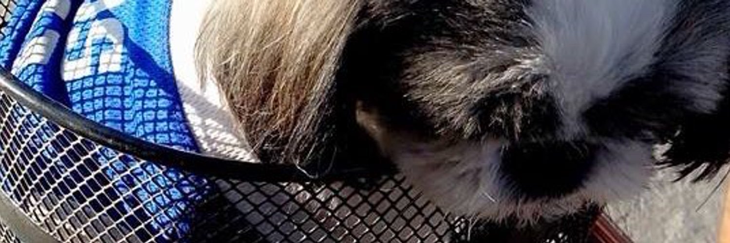 jlnrdlf's profile banner image