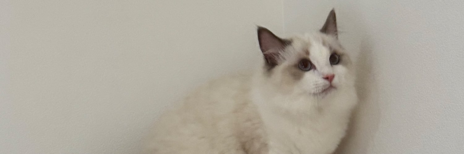 zeroniti's profile banner image