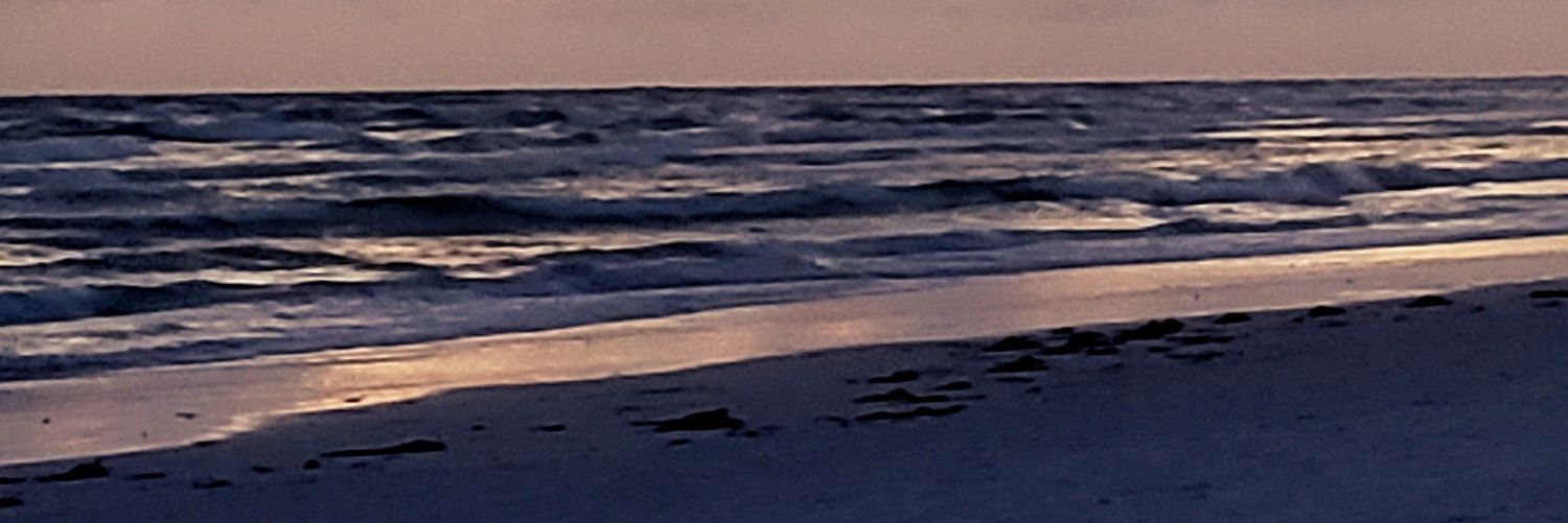 Judy Koerner banner
