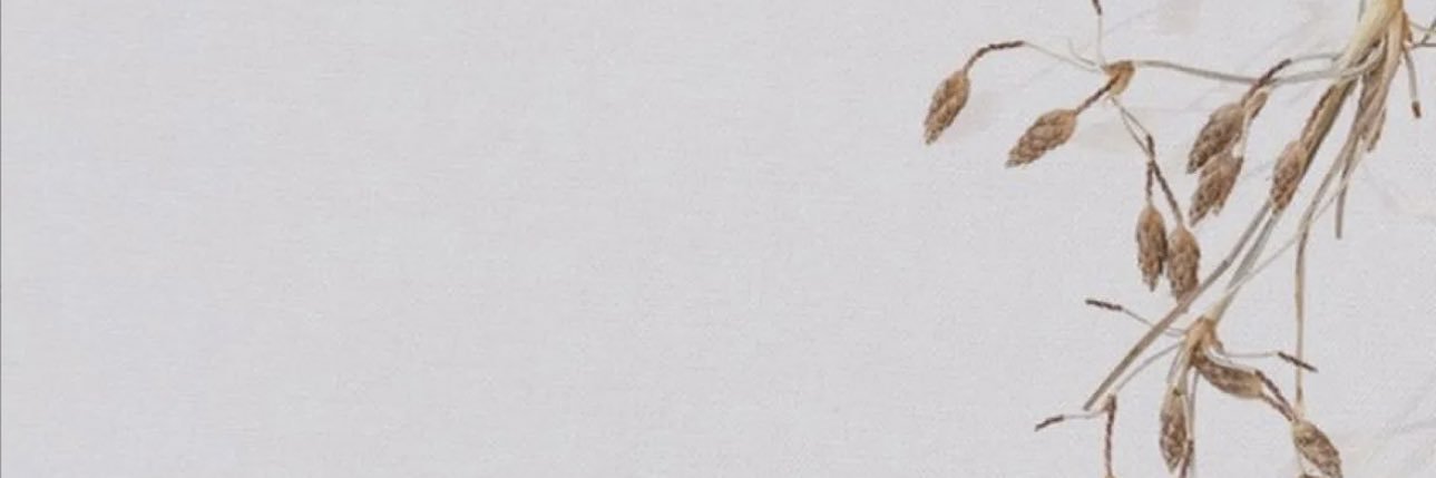 RASHDITM's profile banner image