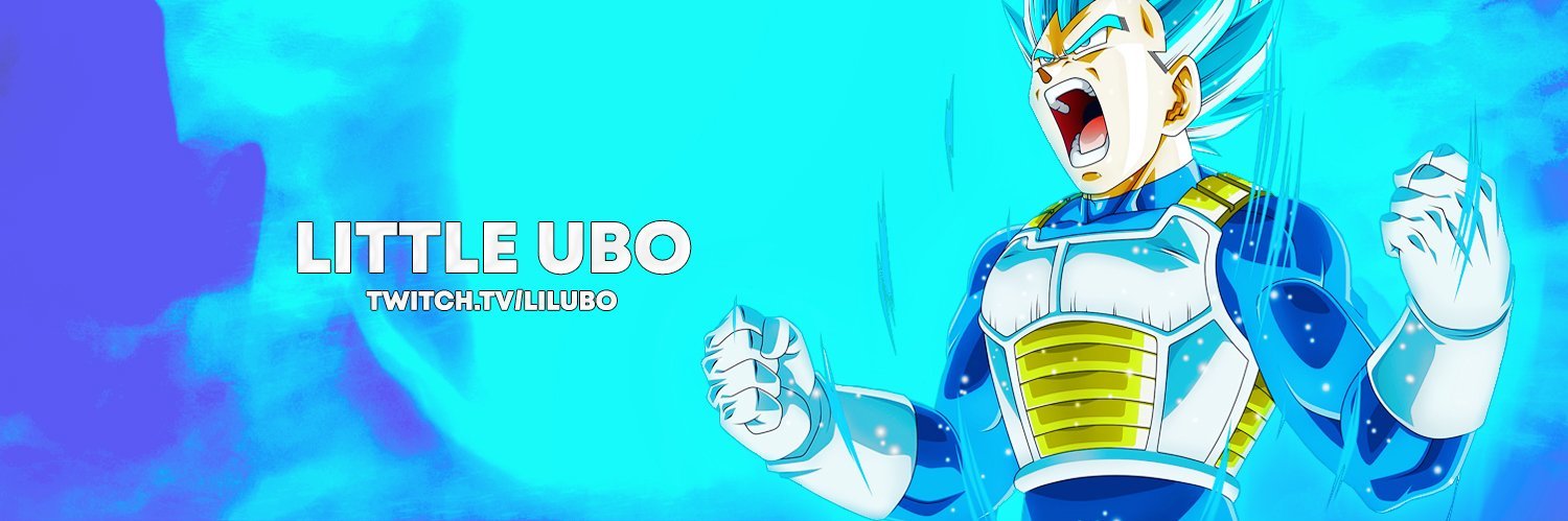 Little UBO banner
