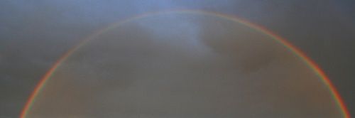 LinseyBing's profile banner image