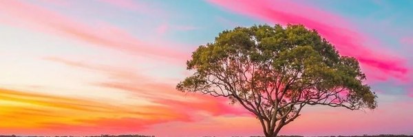 zuserica Profile Banner