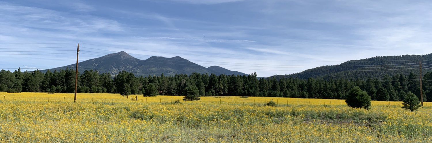 BethElisa 🇺🇸🦅💙🐞🍀🍀🍀🎶 banner