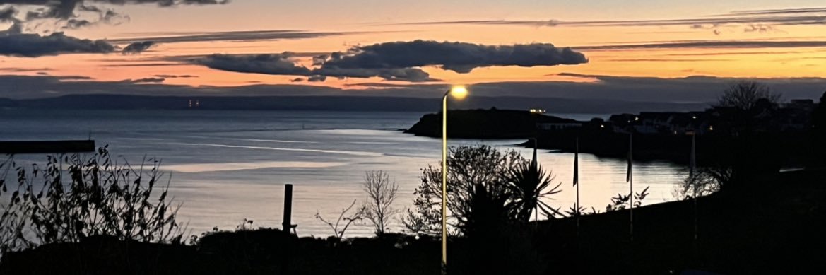 SophTrezise's profile banner image