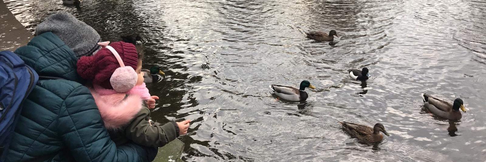 Flávio Almeida banner