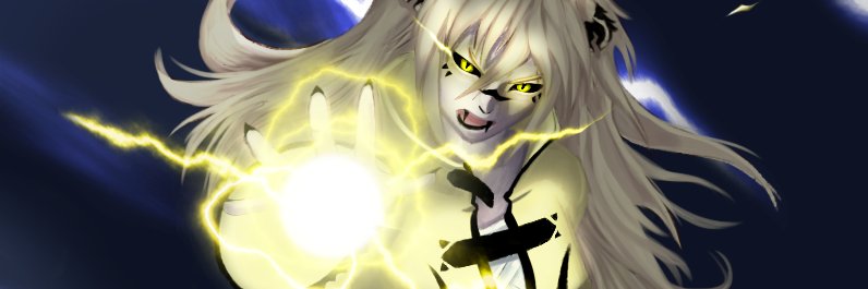SnRaijuu's profile banner image