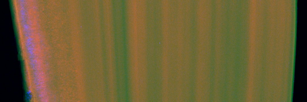 Annette Dowd on Bluesky banner