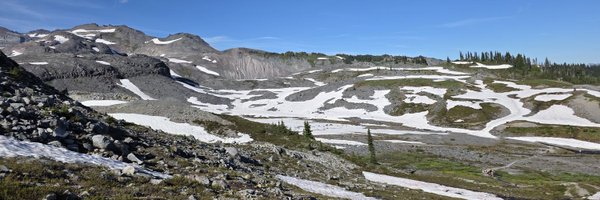 gonpulvo Profile Banner