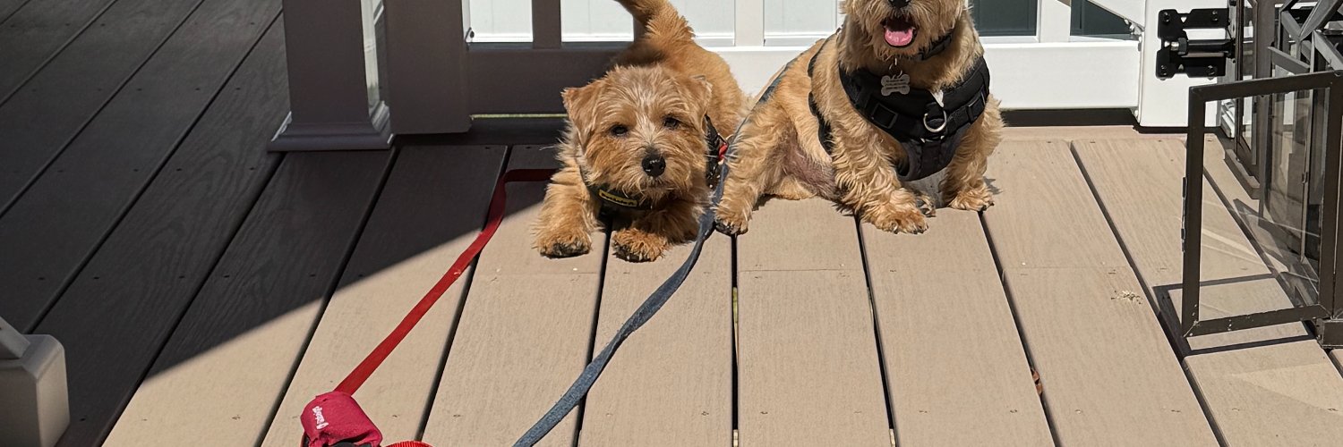 grjesq's profile banner image