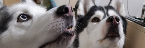 taffyqueen Profile Banner