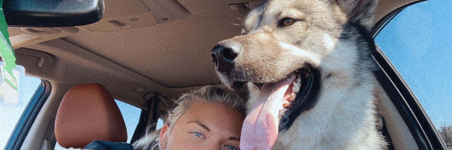 bethanyallen4's profile banner image