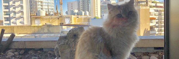 tinderella1844 Profile Banner