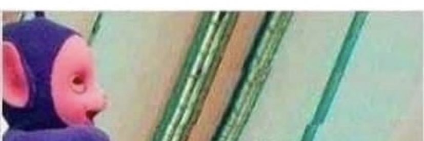 Braeden banner