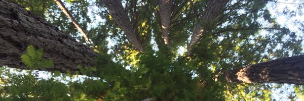 B_Harg Profile Banner