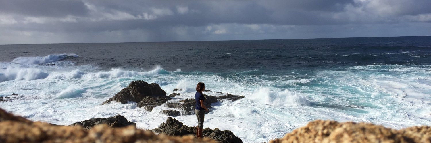 Alejandra Navarrete banner