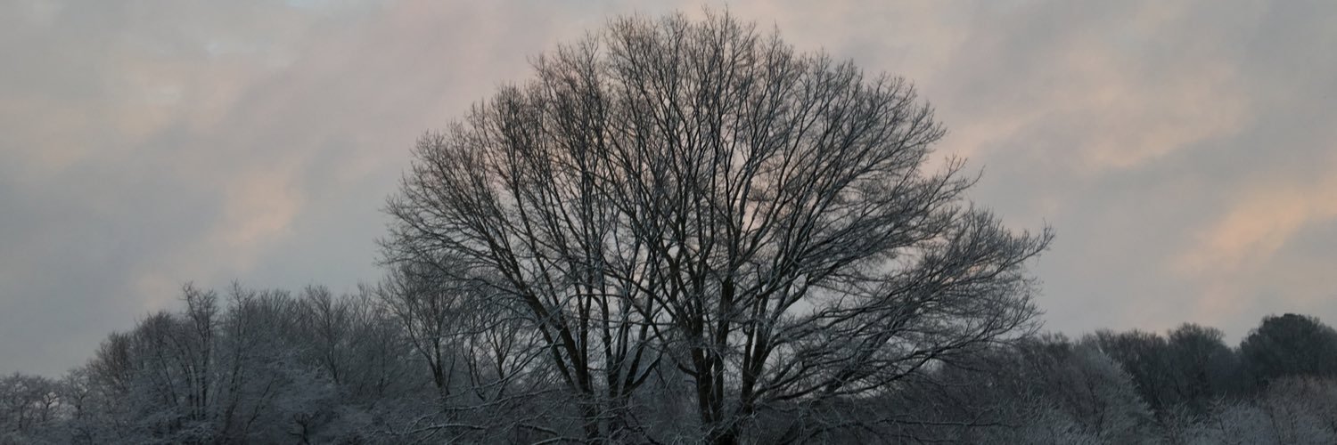 tayblakee's profile banner image