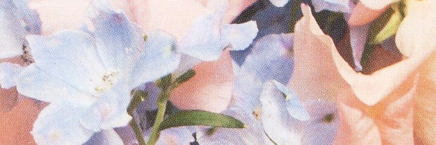 LivaKate's profile banner image