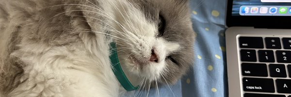 fatyhax Profile Banner