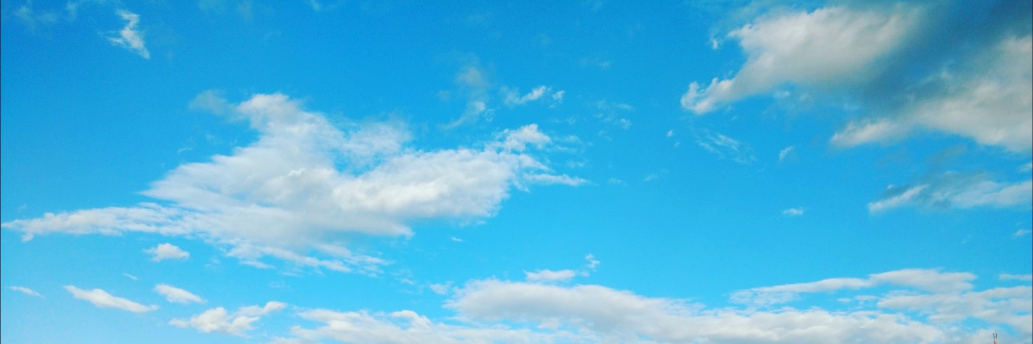 BlueSannin's profile banner image