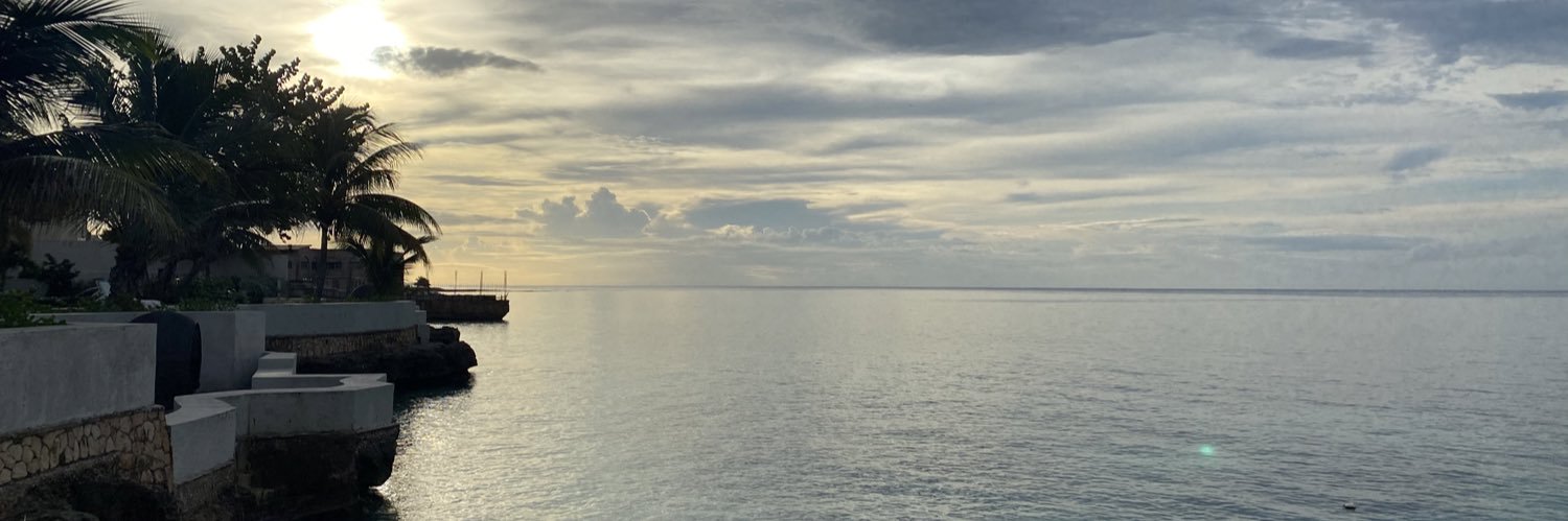 qbeekara's profile banner image