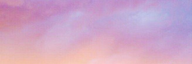 _shonabell's profile banner image