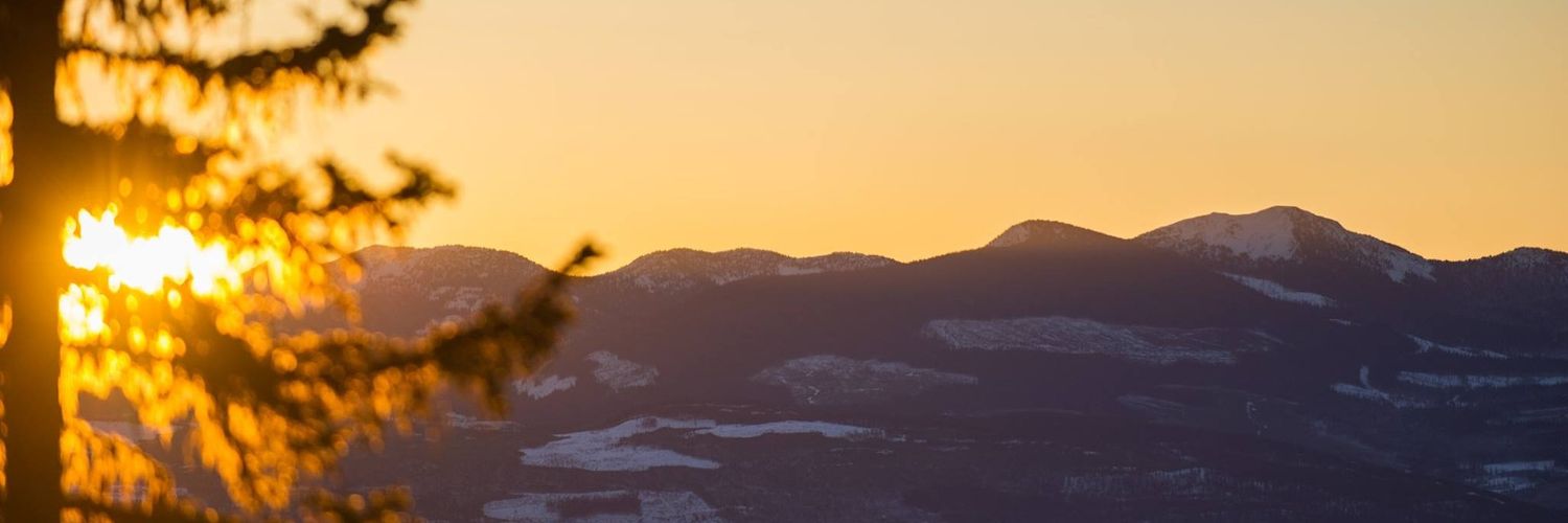 ThisIsBridget's profile banner image