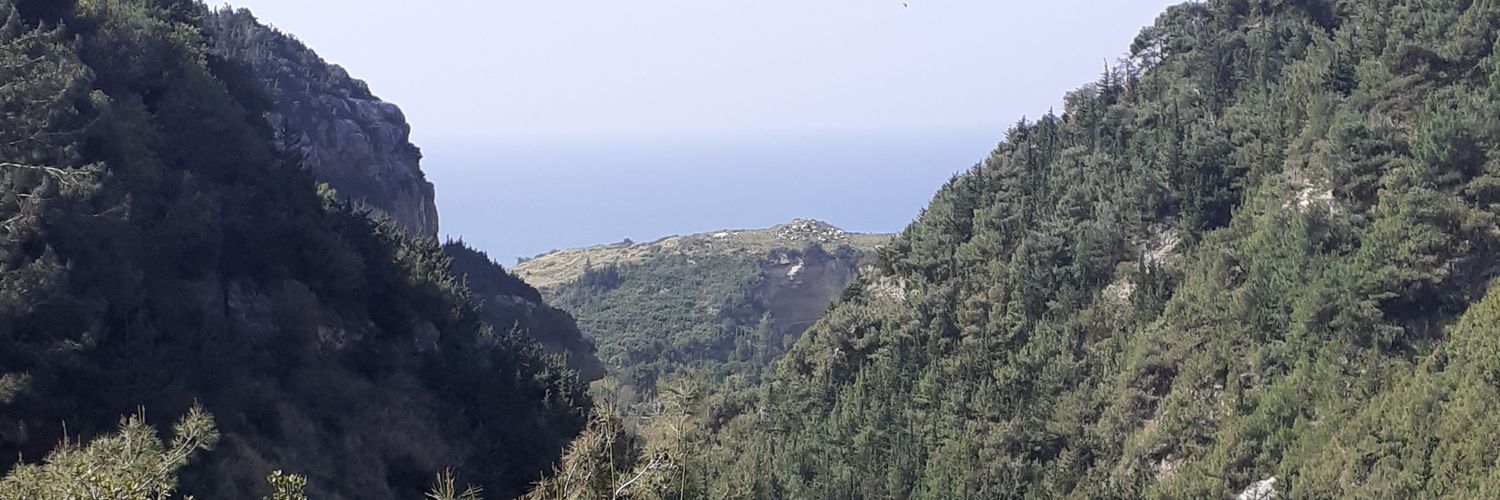 gsakalli1's profile banner image