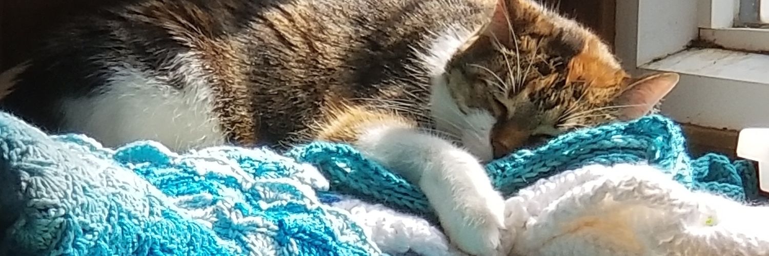 sweetishbubble's profile banner image