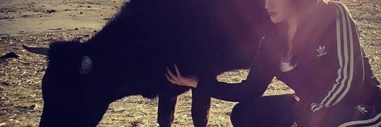 albabuustos's profile banner image