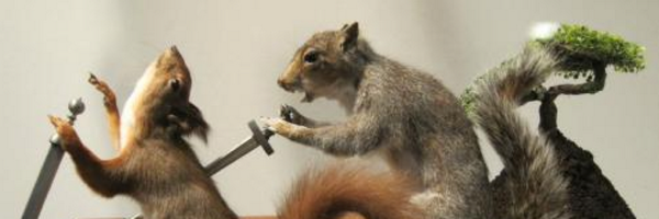 ClaraJeffery Profile Banner