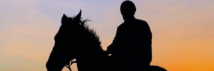 randi_sa's profile banner image