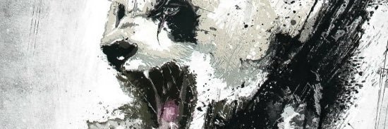 zlRaffy's profile banner image