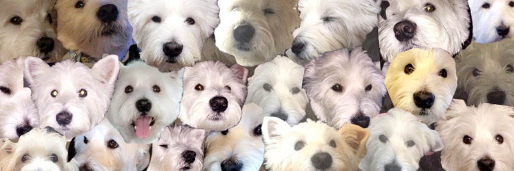 han_webster's profile banner image