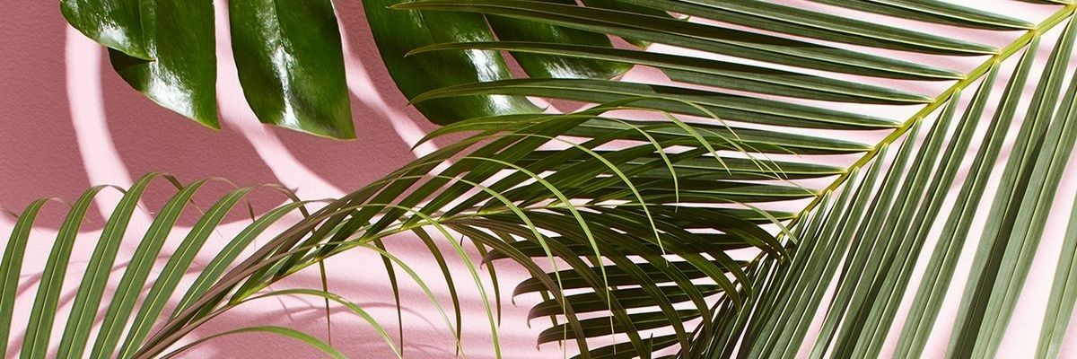 mariiamcolon's profile banner image