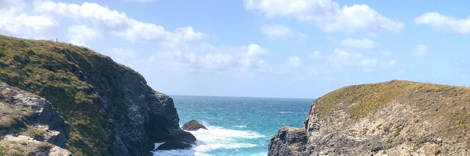 taradaunt's profile banner image