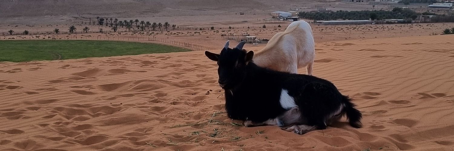 عبدالله 🇦🇷 banner