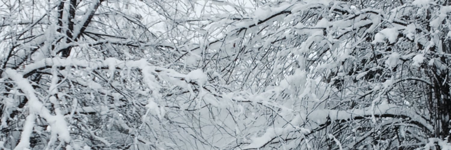 sumner_camille's profile banner image
