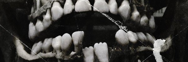 ideclarewarband Profile Banner