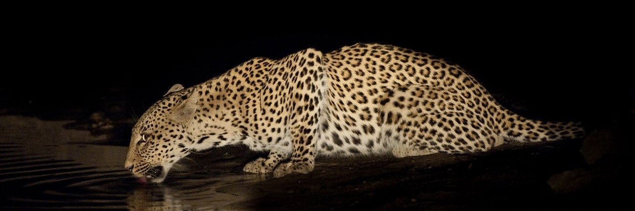 Bertha Mwonzora banner