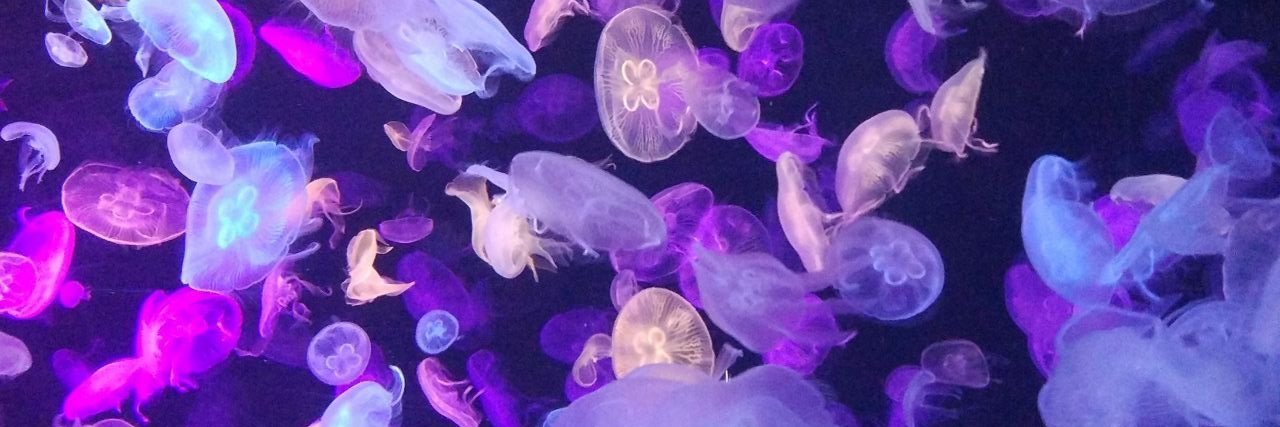 aegispls's profile banner image
