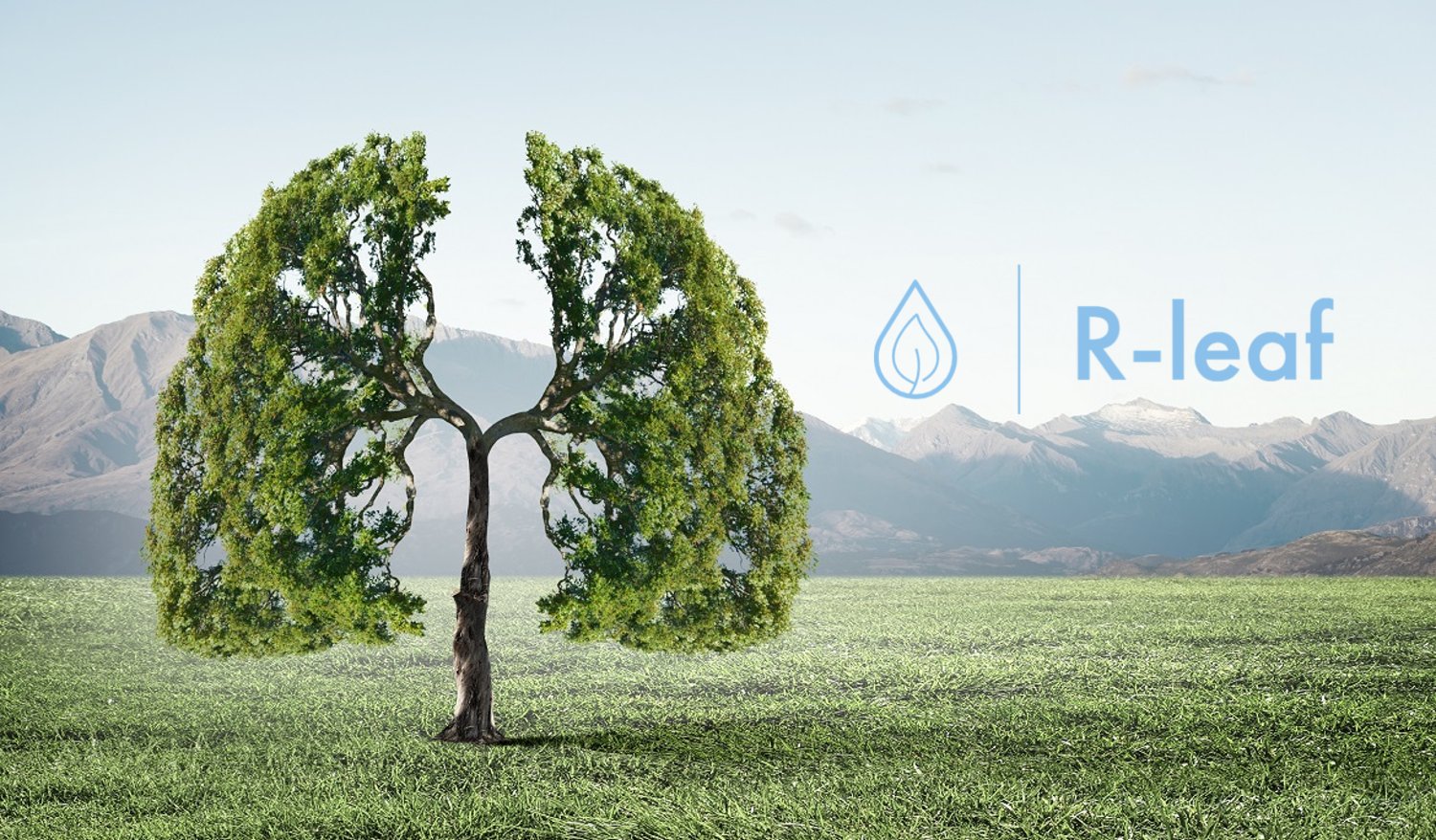 Crop Intellect banner