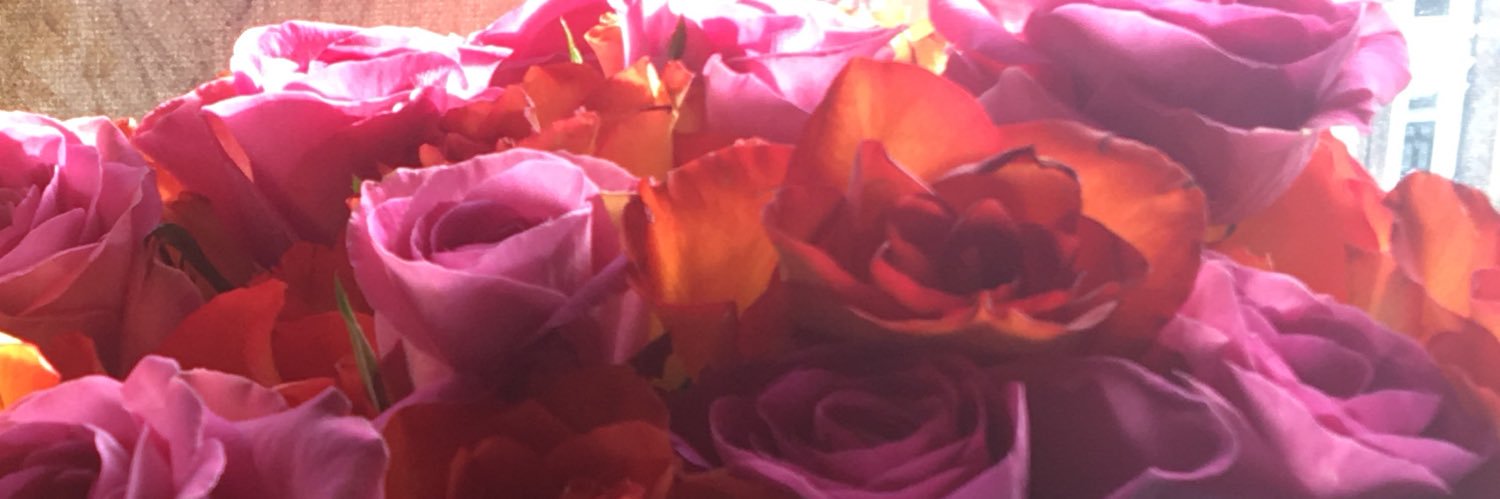neve banner