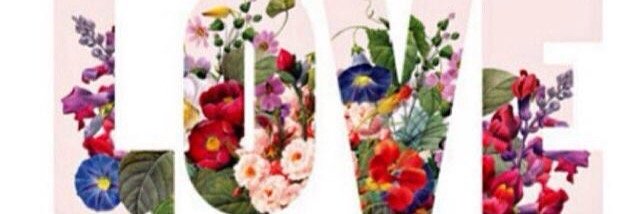 maratonadasol's profile banner image